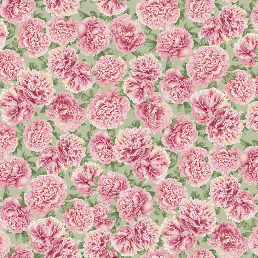 PHIL 6533 SAGE